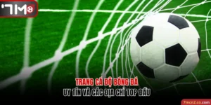 Trang Cá Độ Bóng Đá Uy Tín Và 4 Địa Chỉ Top Đầu Hiện Nay