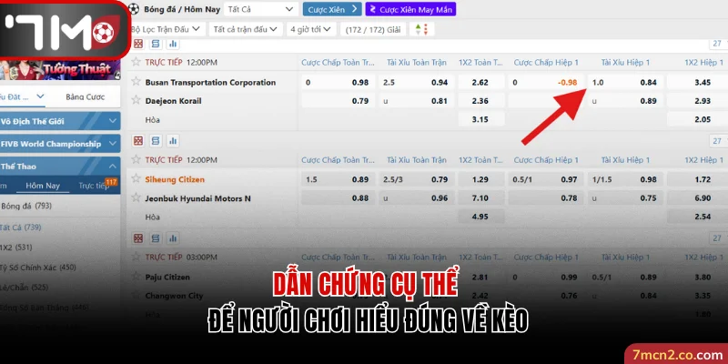 Dẫn chứng cụ thể để người chơi hiểu đúng về kèo