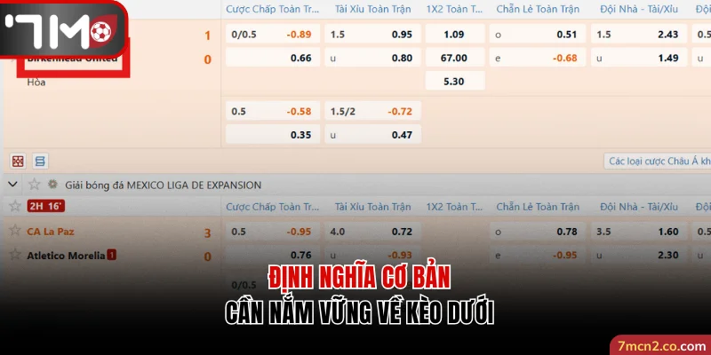Định nghĩa cơ bản cần nắm vững về kèo dưới