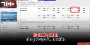 Kèo Tài Xỉu 1 Trái