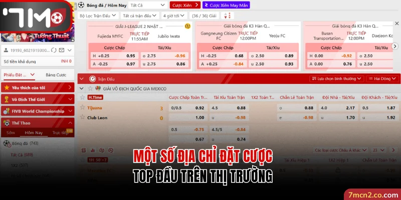 Một số địa chỉ đặt cược top đầu trên thị trường