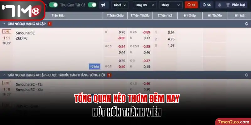 Tổng quan kèo thơm đêm nay hút hồn thành viên 